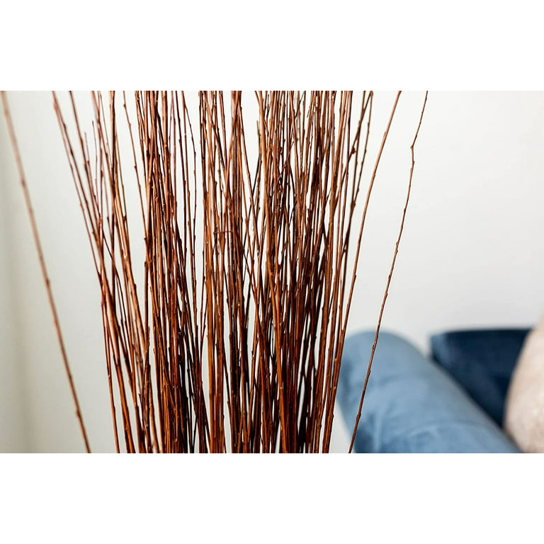Asian Willow 4-5 Foot - Single Bunch - Short Stem - Natural by Dried Decor