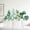 B, variant on Boho Artificial Green Plant Wall Stickers - 2 Pack Hanging Vine Shelf Decals, Self-Adhesive Removable Botanical Wall Decor for Living Room Bedroom