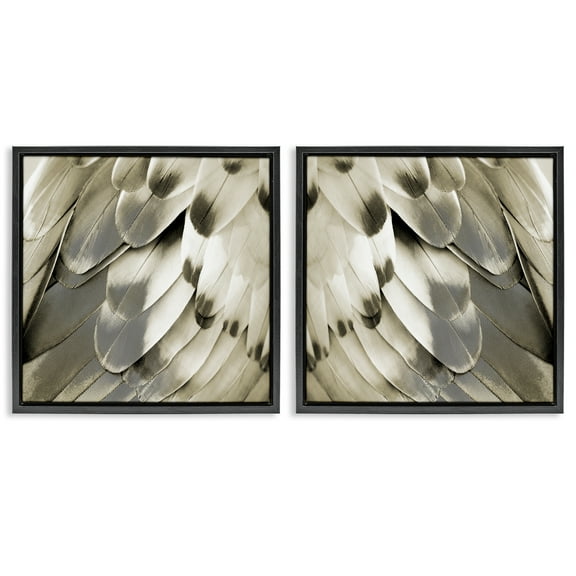 Stupell Industries Bird Feathers Vintage View Animals Painting Black Floater Framed Canvas Art Print Wall Art, 18 x 18, Set of 2