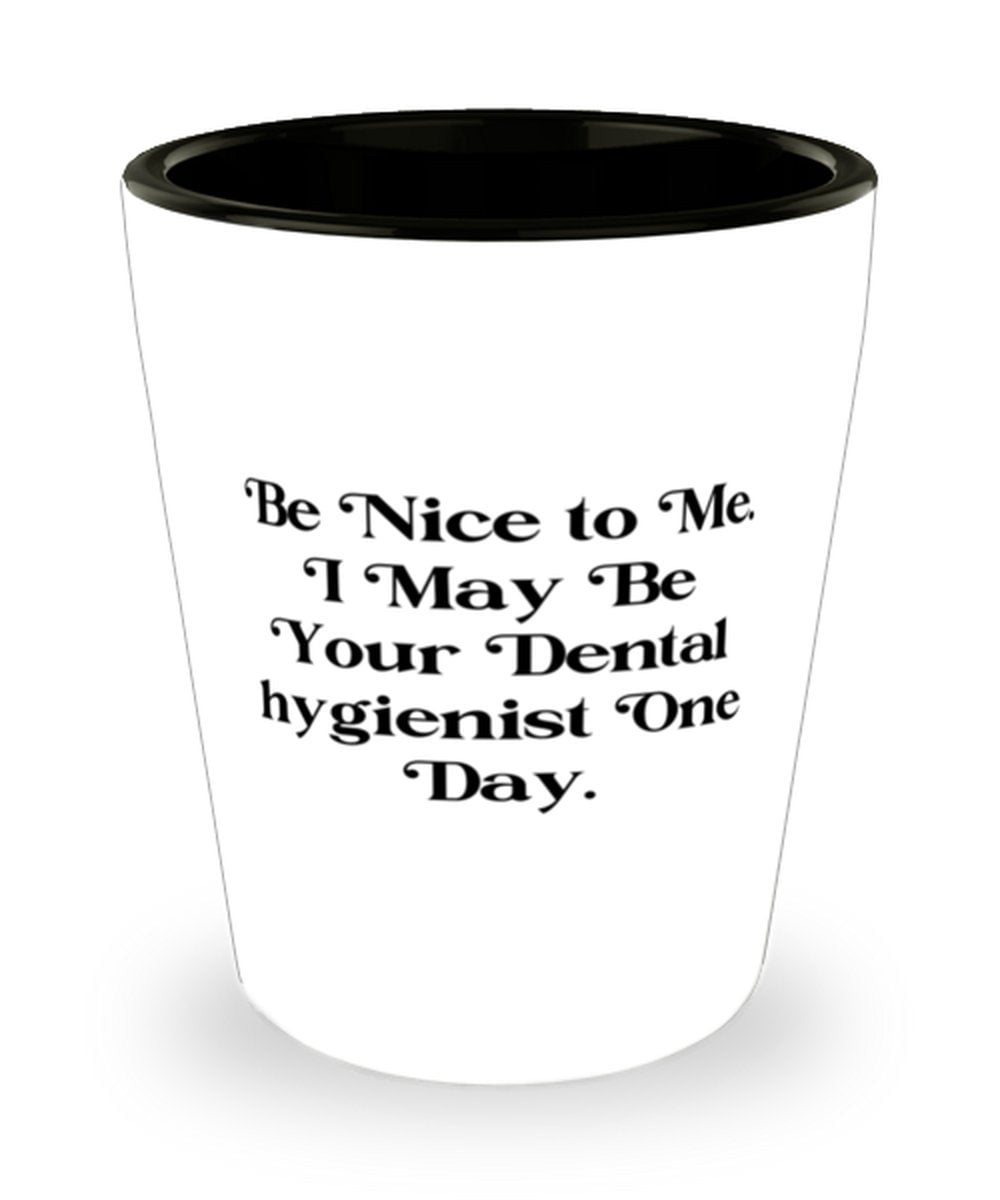 Nice Dental Hygienist Shot Glass Be Nice To Me I May Be Your Dental Hygienist One Day Present For Colleagues Funny Gifts From Friends Walmart Com Walmart Com