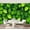 Color 2, variant on Wall Mural Peel and Stick Green Leaves Nature Self-Adhesive Wallpaper Removable Wall Decal Wall Sticker Home Decor for Living Room Bedroom 69"x96"