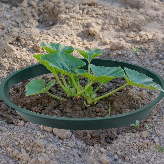 6-Pack Planting Grow Rings, 8.6-Inch Round Plant Support Rings Garden Protector & Edging, Deep Watering for Vegetables