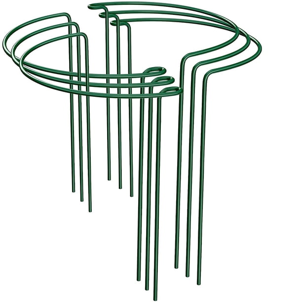Soporte para Plantas Jardín Soporte para Escalada Soporte para Macetas en Forma Corazón Metal Hierro Jardín Poste Fijo (6 Piezas) Semicírculo 25 * 40 CM