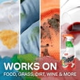thumbnail image 3 of Shout® Laundry Stain Remover Spray, 650mL, 3 of 5