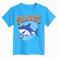 thumbnail image 4 of TOWED22 Toddler Little Boy Summer Dinosaur Clothes Funny Letter Short Sleeve Tshirt Tops Boy Summer Tee Top 1T 2T 3T 4T 5T(Sky Blue,13-14 Y), 4 of 4