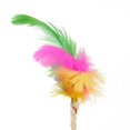 thumbnail image 4 of Jouet Balle à Gratter pour Chat, 4 of 5