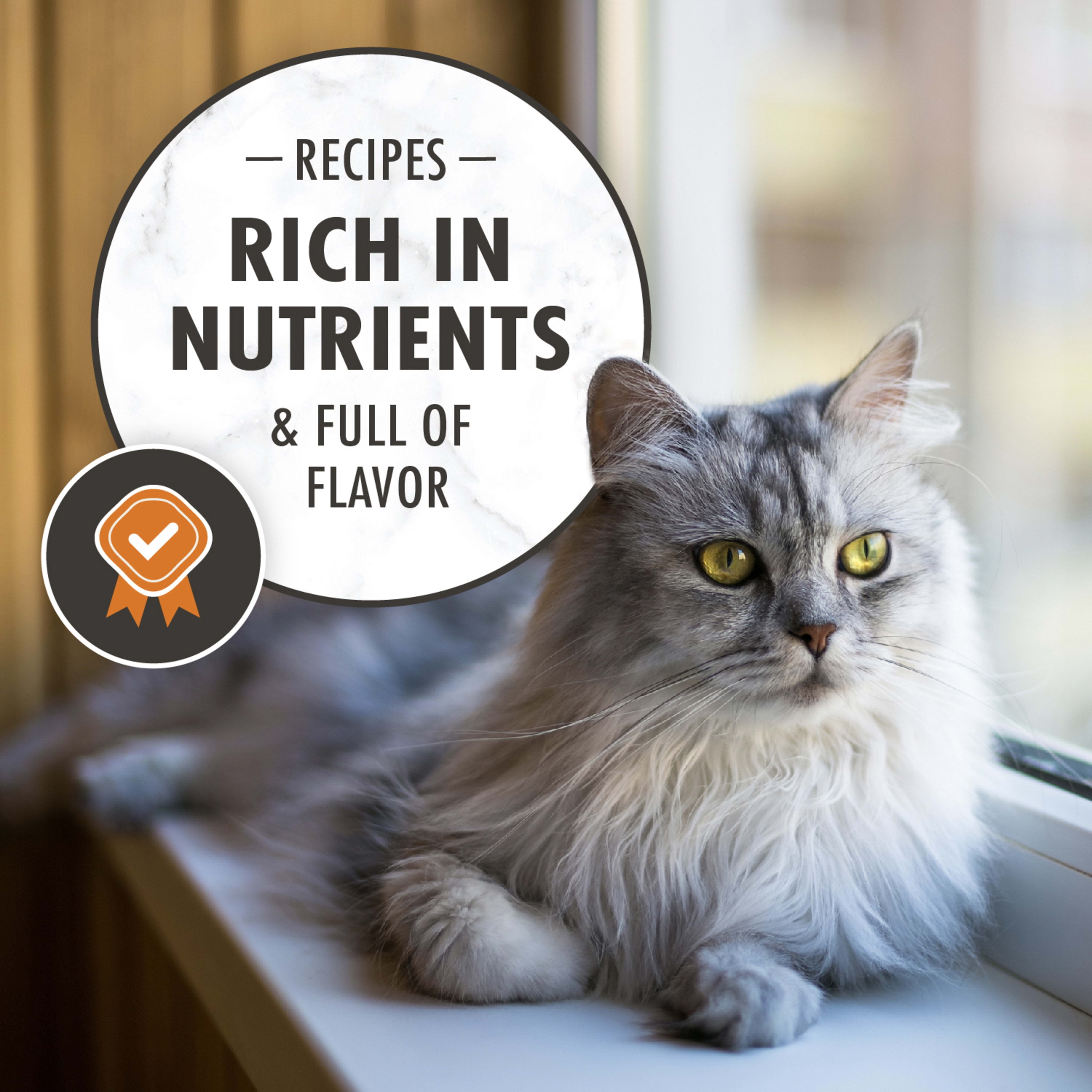 Nutro indoor top senior cat food