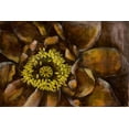 thumbnail image 2 of Goldberger, Jennifer 14x11 White Modern Wood Framed Museum Art Print Titled - Floral Illusion I, 2 of 4