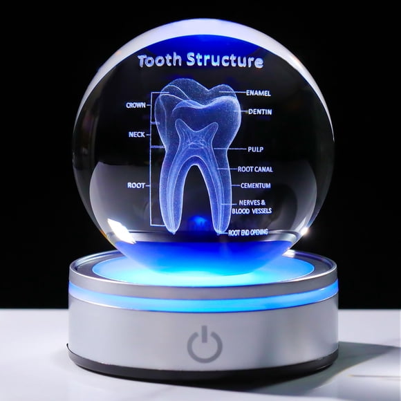 Modelo de diente de cristal 3D Sculpture Enjinkail, base LED de 8 cm