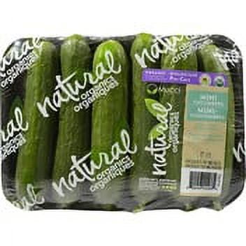 Mucci Organic Mini Cucumber, 6ct