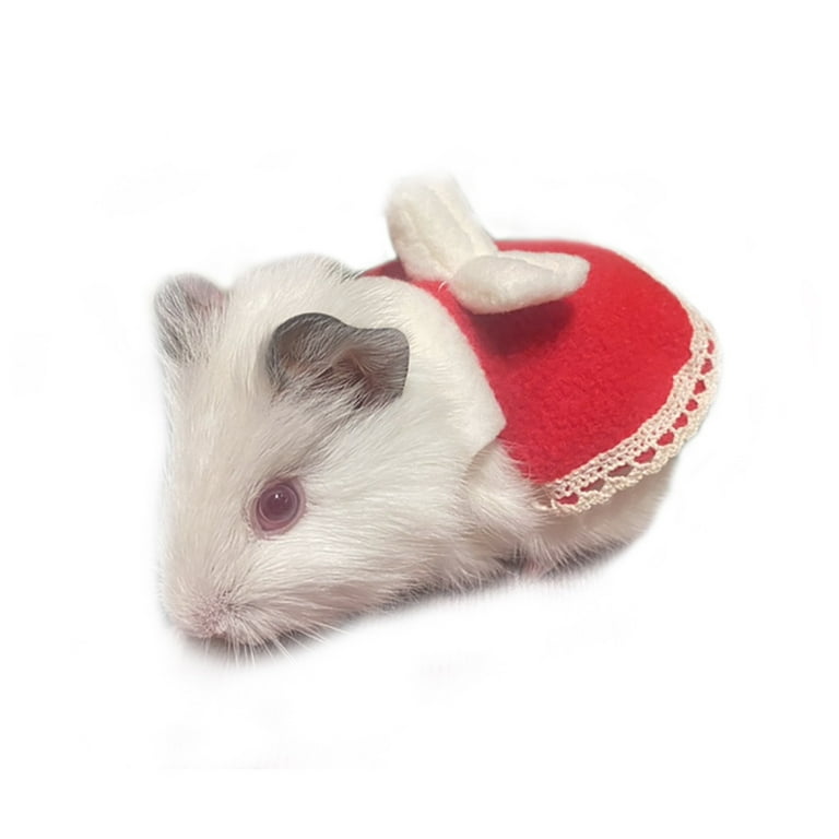 Pet Rat Clothes And Accessories informacionpublica.svet.gob.gt