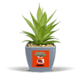 thumbnail image 1 of Éruption Volcanique Rouge Colère Faux Ananas Pot de Fleurs Vase Mini Décor, 1 of 3