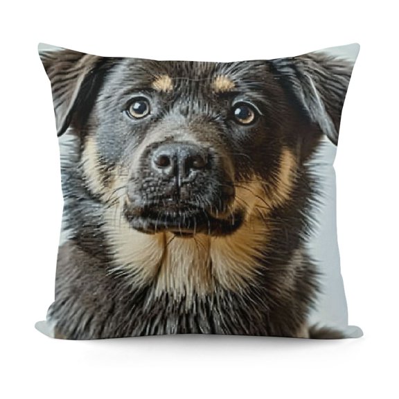 YINGXI It's Glitter Throw Pillow Cover - It's NOT Dog Hair, Dog Decor, Funny Pillow Case, Gift for Dog Lovers, Sofa Bed Living Room Home Decoration, Pillowcase 12x12in