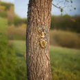 thumbnail image 4 of Old Man Tree Hugger, Garden Peeker Sculpture Trunk Hanging, 4 of 5