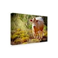 thumbnail image 2 of Trademark Fine Art 'Lone Cow In New Mexico' Canvas Art by American School, 2 of 4