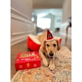thumbnail image 4 of Midlee Santa Hat Headband with Red/White Bell Collar for Large Dogs, 4 of 7