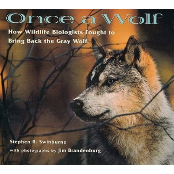 Pre-Owned Once a Wolf: How Wildlife Biologists Fought to Bring Back the Gray Wolf (Hardcover) 0395898277 9780395898277