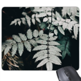 thumbnail image 1 of Photography Picture Nature Mouse Pad Non-Slip Rubber Mousepad Game Office, 1 of 3