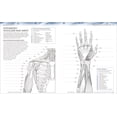 thumbnail image 2 of The Human Body Coloring Book: The Ultimate Anatomy Study Guide, Second Edition, 264 pages (Edition 2) (Hardcover), 2 of 7