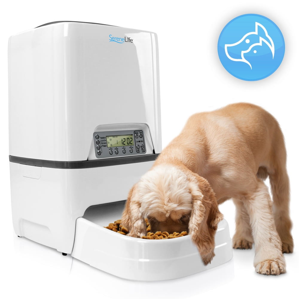 digital dog feeder