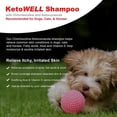 thumbnail image 6 of VetWELL Chlorhexidine Shampoo for Dogs & Cats – Cleansing Pet Shampoo for Skin & Coat Care – 8 oz, 6 of 6