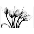 thumbnail image 3 of Flower 48 in x 32 in Painting Art Prints, by Empire Art, 3 of 6