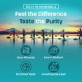 thumbnail image 3 of Birdee Baja Mineral Sea Salt - 17.6 oz (Pack of 2), Unrefined, Hand Harvested, Solar Dried, Great for Refills, 3 of 7
