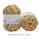 thumbnail image 5 of Hilo de crochet Guantes de bufanda de suéter multicolor Accesorios de paquete de ropa Regalos de bricolaje Establecimiento de madrigueros de 4-capas 13 Inevent HA059391-13B, 5 of 5