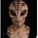 thumbnail image 3 of ExtraterrestreLátexMáscaraHalloweenAlienHorrorMáscaraSombreros (alienígena estampado), 3 of 3