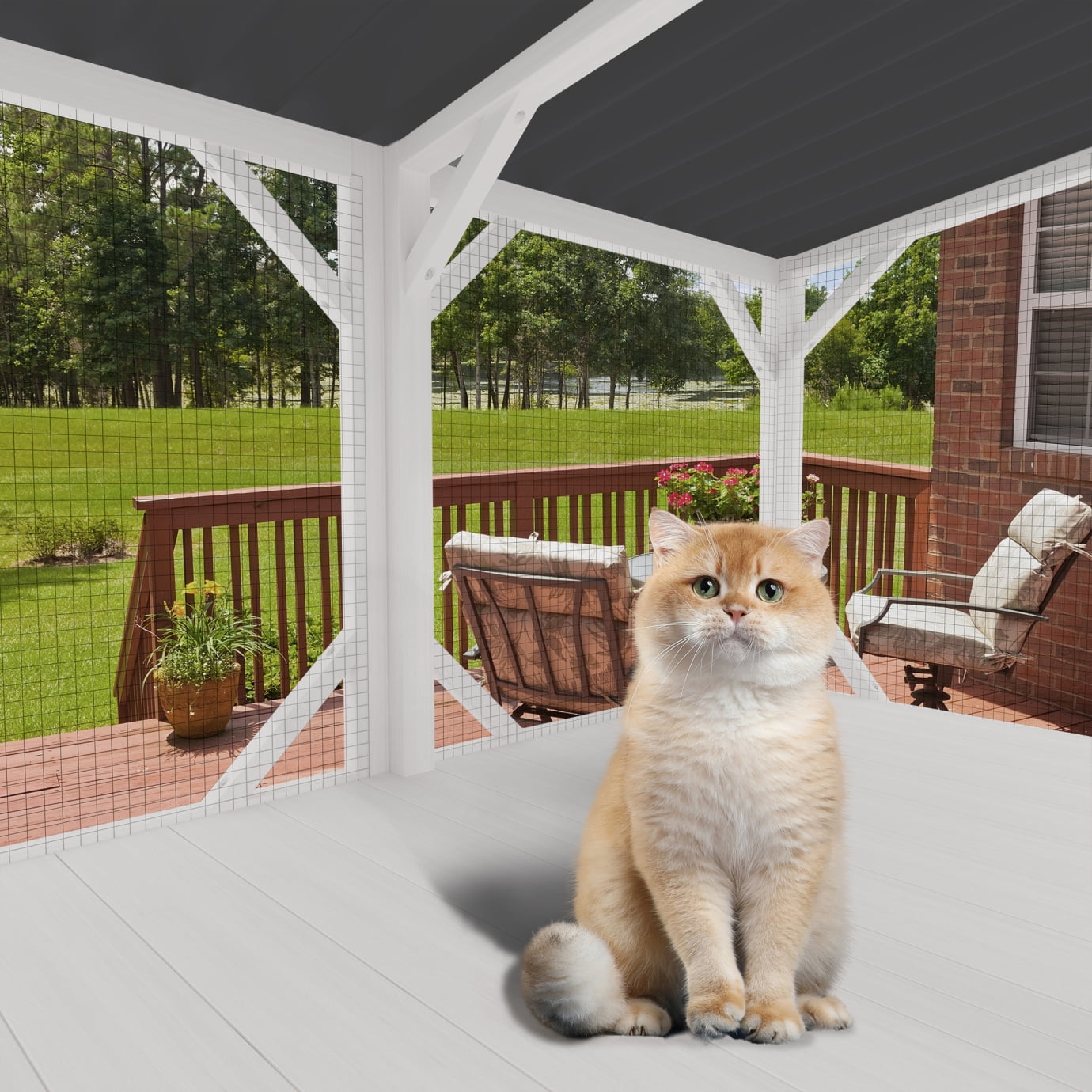 Cat Wall-Mounted Window Enclosure for Indoor Cats, Wood Small Animal Perch House with Bug Proof Net, Waterproof Roof, Secure and Cozy Outdoor Retreat for Multiple Cats, All Weather Use, Antique White