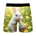 thumbnail image 5 of XIAONU Men's Easter Bunny Print Boxer Briefs Slim Fit Mid Length Elastic Waistband Soft Stretchy Underwear, 5 of 6