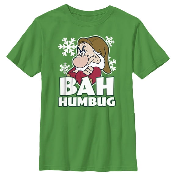 Boy's Disney Snow White and the Seven Dwarfs Grumpy Bah Humbug Graphic Tee Kelly Green Small