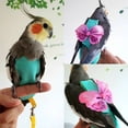 thumbnail image 3 of RONSHIN Parrot Bird Diapers With Harness Leash Flight Clothes Suit For Small Medium Birds Parakeets Parrot Cockatiel, 3 of 9
