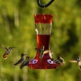 thumbnail image 3 of More Birds Bird Health+ Garnet Hummingbird Feeder - 20 oz., 3 of 6