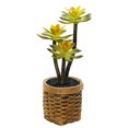 thumbnail image 1 of Suculentas artificiales, bonsáis, muebles creativos para el hogar, plantas verdes artificiales, plantas en macetas., 1 of 5