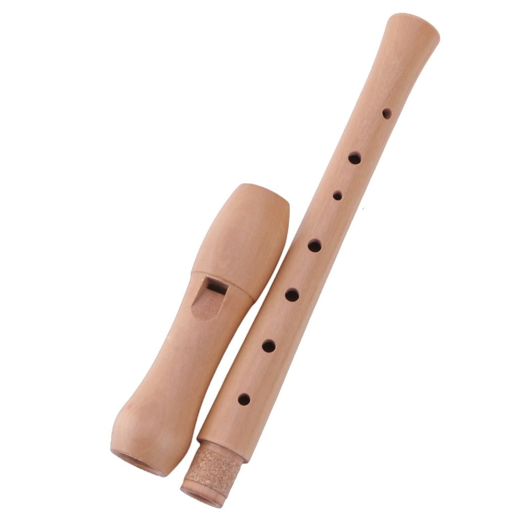 CEORPER 8 Hole Recorder German Style Treble Flute with Cleaning Rod and Carrying Case