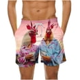 thumbnail image 1 of Birdeem Swim Trunks Men Mens Summer Loose Beach Shorts Pocket Swimming Pants, 1 of 12