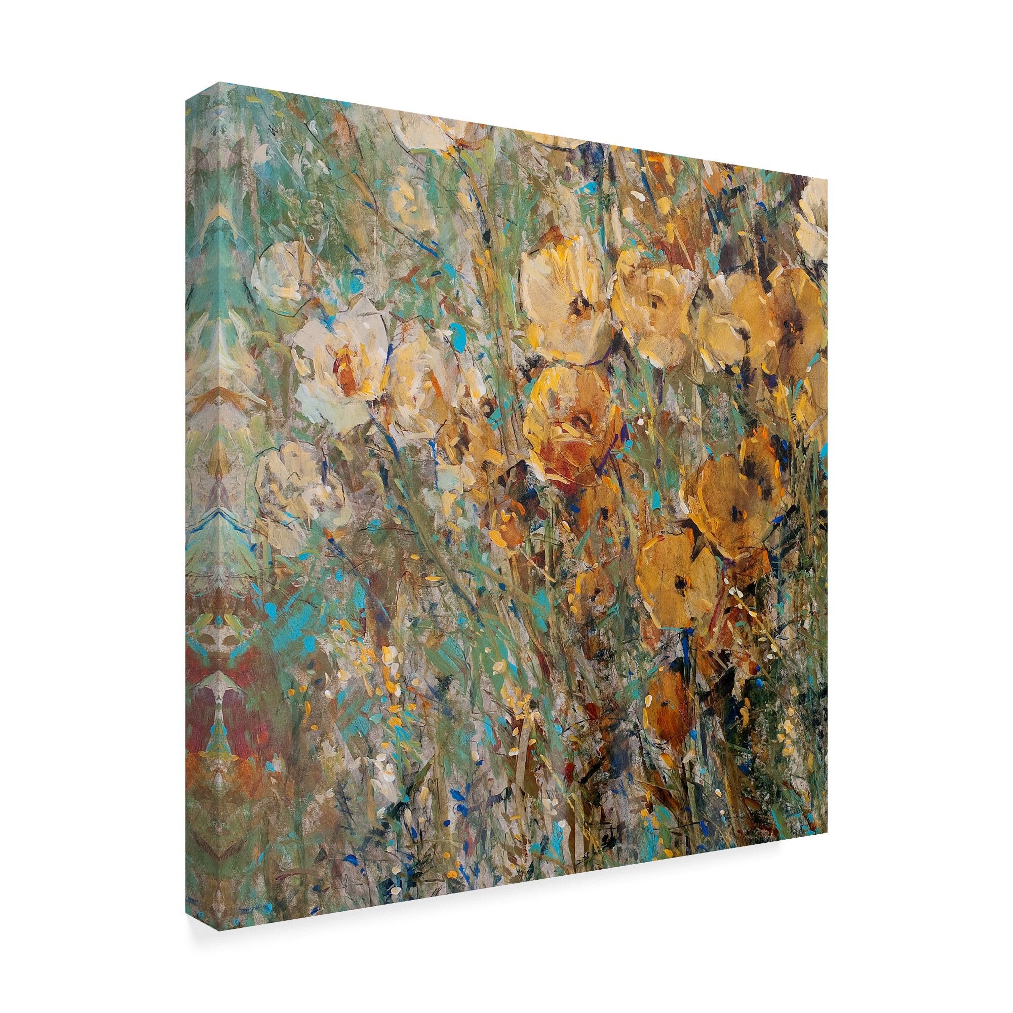 Trademark Fine Art 'Amber Poppy Field I' Canvas Art by Tim OToole