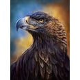 thumbnail image 2 of LaMontagne, Patrick 12x14 White Modern Wood Framed Museum Art Print Titled - Golden Eagle, 2 of 4