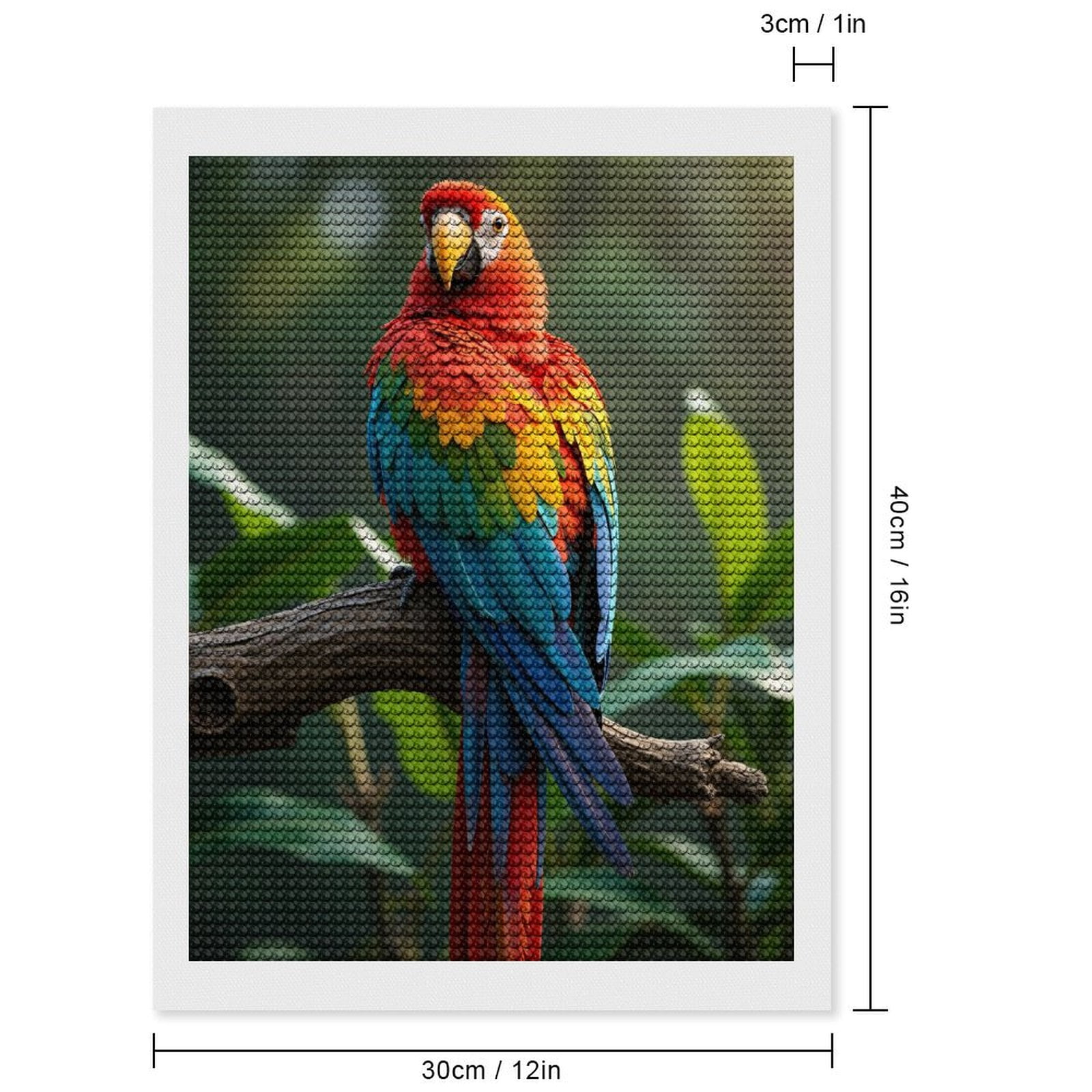 Diamond Art Kits for Adults - Colorful Parrot Perched On Branch 5d Diamond Painting for Adults, Diamond Art for Adults Beginners, Frameless Diamond Painting Kits for Adults for Home Wall Decor