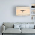 thumbnail image 3 of Blue Palomino 'Good Morning Piper' Canvas Art, 3 of 3
