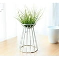 thumbnail image 1 of Plant Pot Holder, Plant Stand Iron Fashionable  For Home, 1 of 5