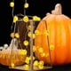 thumbnail image 4 of Guirnalda De Luces De Calabaza, 3 Metros, 30 Luces Led De Cadena Para Halloween, Control Remoto, 8 Modos, Luces De Hadas De Calabaza 3D Para Decoración De Fiestas Y Festivales Cateissary HA038863-00, 4 of 6