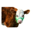 thumbnail image 3 of Cattle Halter Newborn Calf Yearling Cow Bull (Newborn, Red), 3 of 4