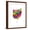 Brown Frame, variant on Art.com Ohio Map Art Print by Michael Tompsett, 18" x 24"