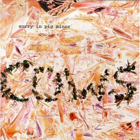 The Cows - Sorry in Pig Minor - Music & Performance - CD