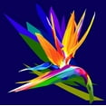 thumbnail image 2 of Pansanit, Surapol 12x12 White Modern Wood Framed Museum Art Print Titled - Bird Of Paradise, 2 of 4