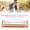 Orange, variant on Yajisi C Major 10 Hole 20 Tone Diatonic Harmonica, Beginner Woodwind Musical Instrument with Case, Purplish Red (4.1 inches / 10.3 cm)