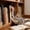 Blue, variant on Interactive Cat Entertainment Wand with Adjustable Collar Attachment for Indoor Exercise and Interactive Play