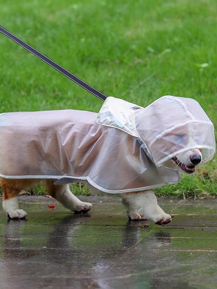 raincoat for dogs walmart